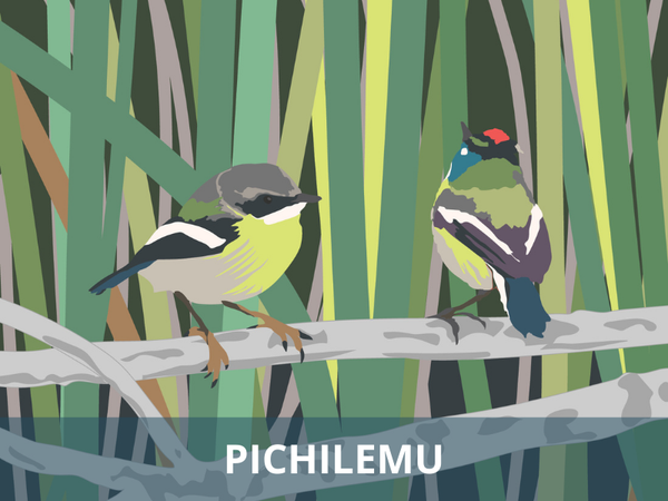 Pichilemu